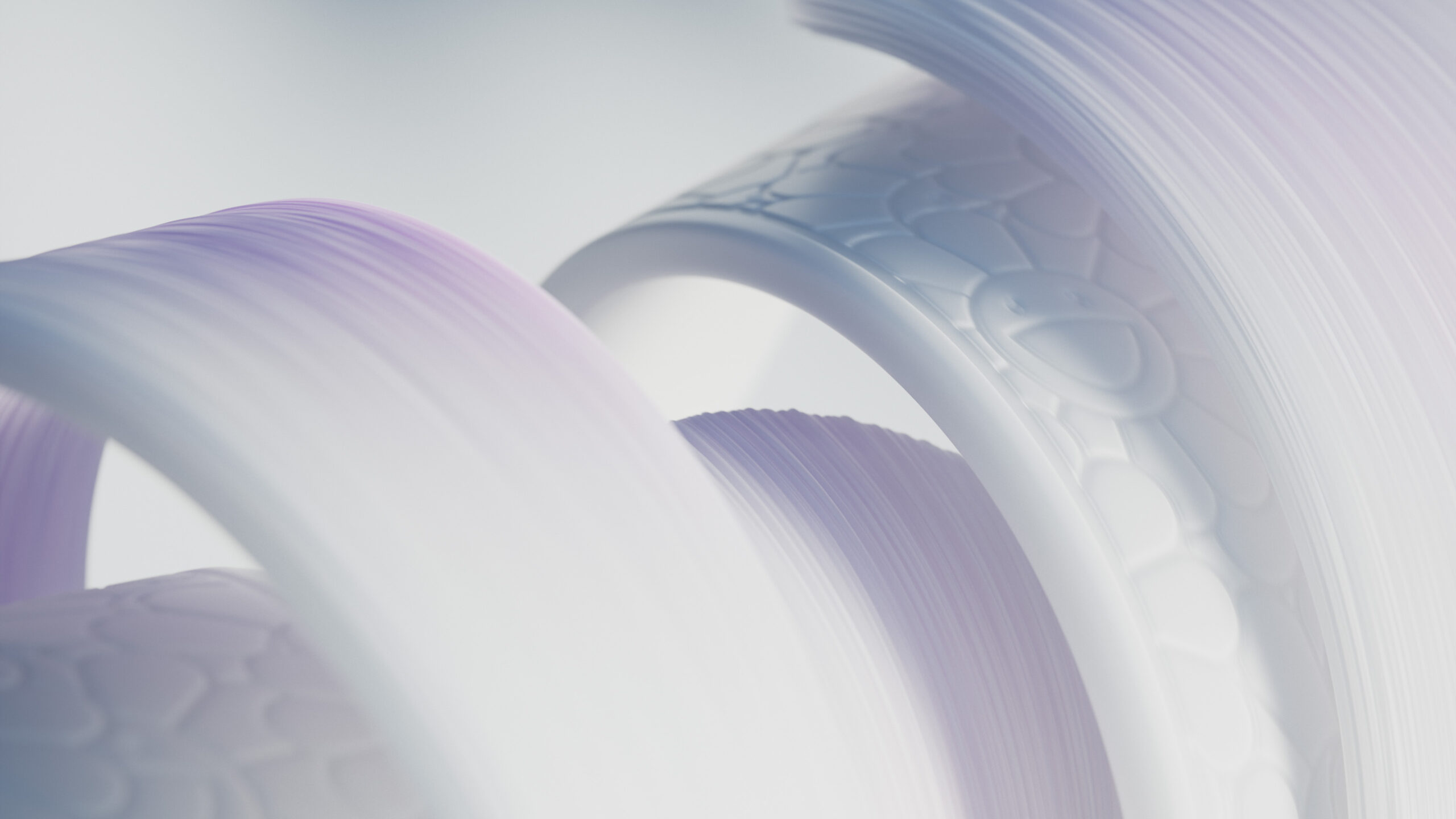 HBLM_Edit_WIDE_v40_DC (0-00-41-25)